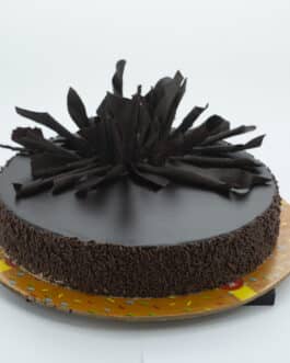 Regular Chocolate Cake